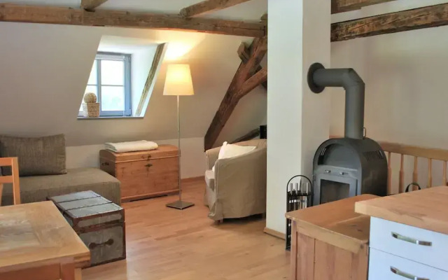 Chic Apartment in Thuringia With Sauna