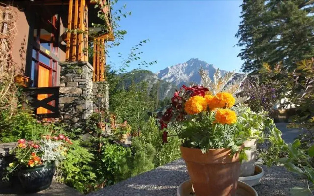 Buffaloberry B&B