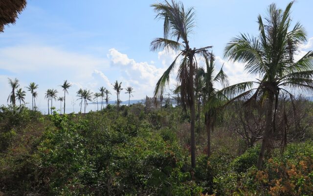 The Wild Orchid Resort - Moalboal