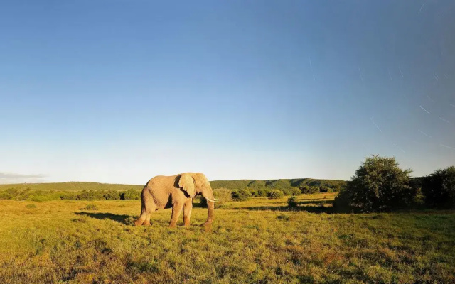 Shamwari Private Game Reserve
