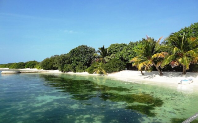 Coral Heaven Maldives