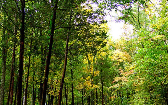 Hampton Inn & Suites Lebanon