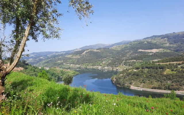 Quinta D'Joanes Douro