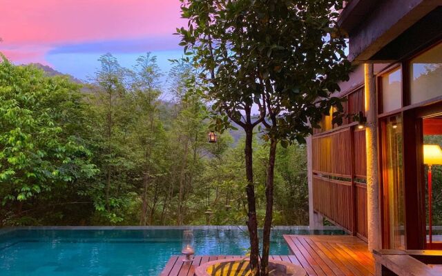 The Shorea