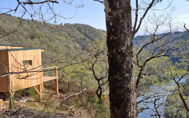 Hetre Sous Le Charme