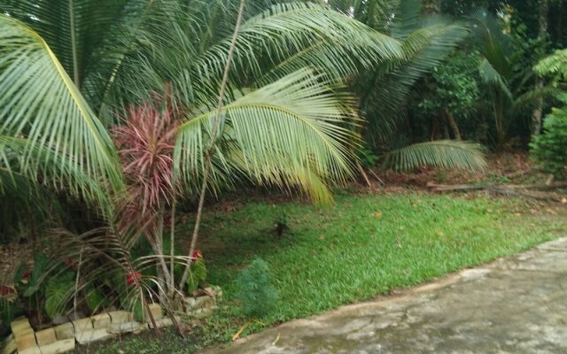 Privet Villa Nisala, Hikkaduwa,srilanka