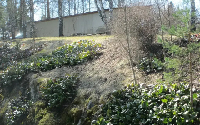 Hotelli Tarjanteen majoitushuoneet Virrat