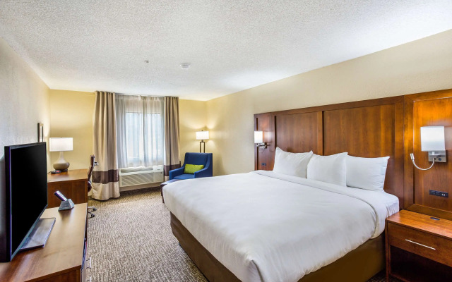 Comfort Inn Charleston South