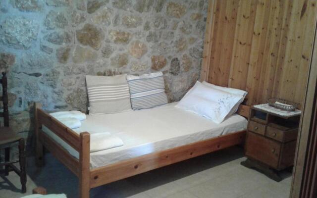 Antonis's Palm House