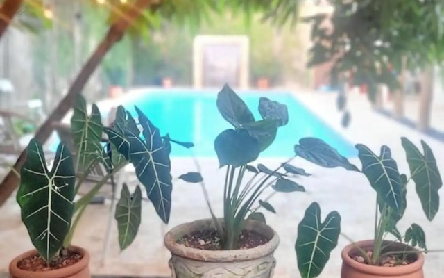 Green Oasis Hotel