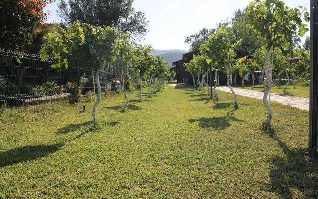 Sakin Vadi Winehouse