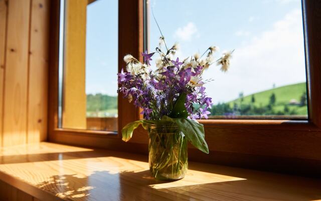 Cottage Panskyi Kut