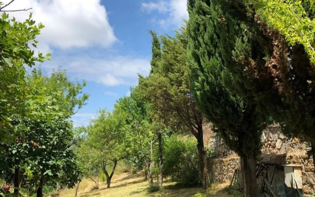 Yesil Vadi Apart Pansiyon