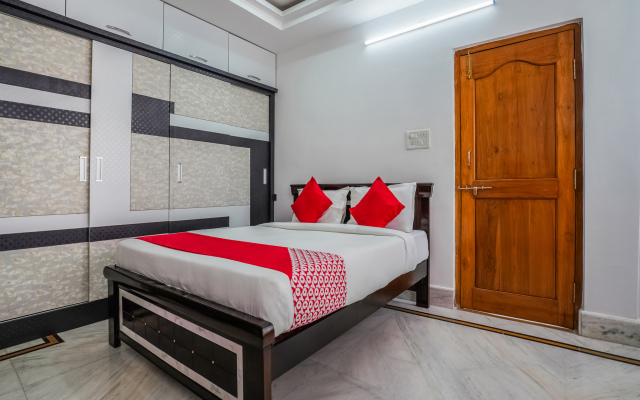 OYO 13746 Mint Leaves