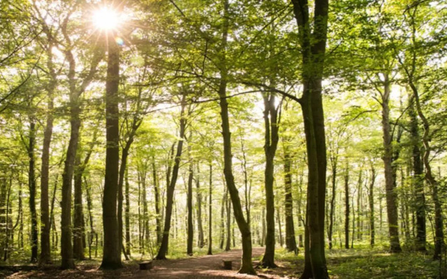 Restaurant & Logis Steuerndieb