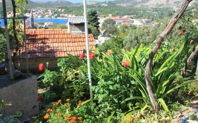 Apartments with a parking space Slano, Dubrovnik - 8540