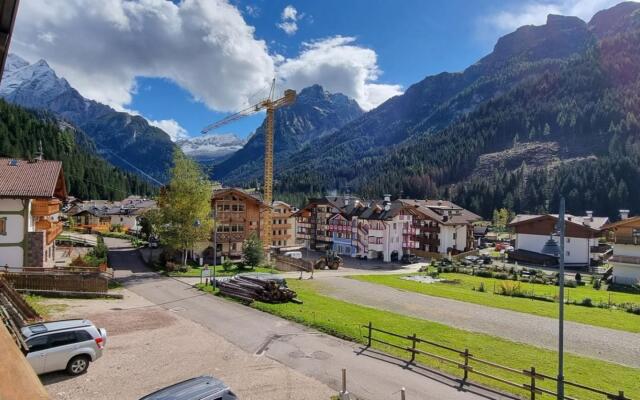 PECOL - Cesa Fortunato-311 PECOL