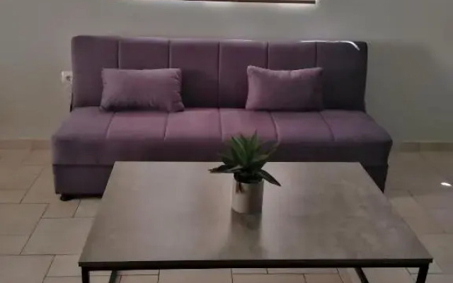 hommie apartment