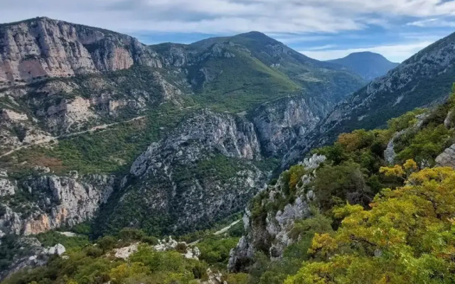 Reve Du Verdhon