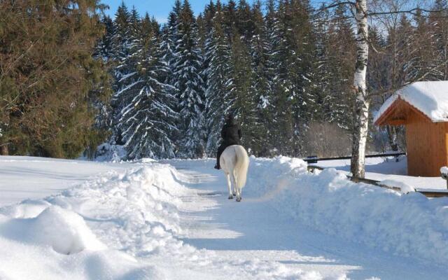 Ruheoase am Forggensee