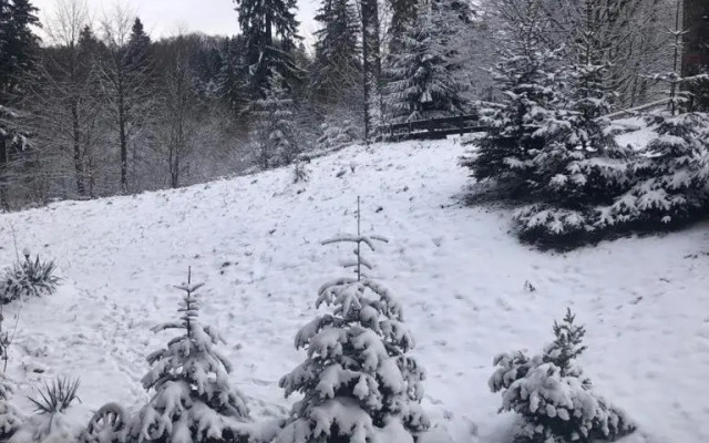 Fairytale apartment close to Bradu Ski Slope