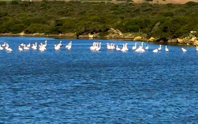 Case Vacanza Cala Lupo