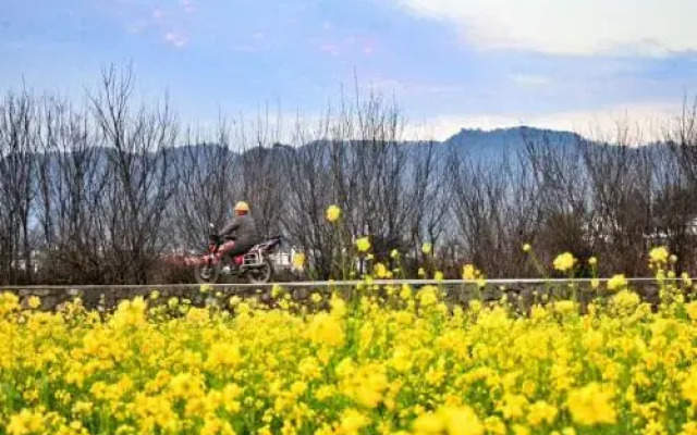 Xingyi Wanfeng Lin Jianshan Guest House