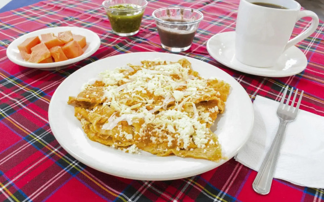 OYO Hotel Museo