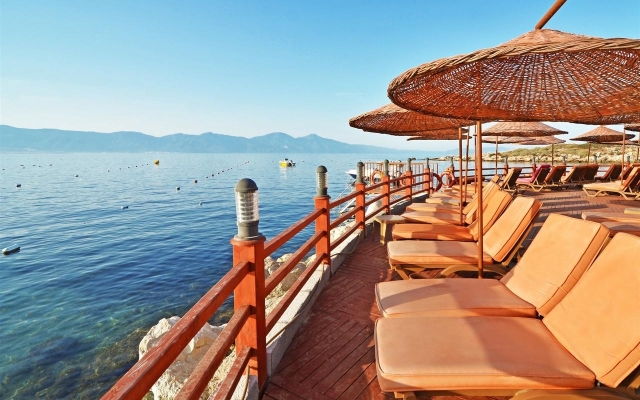 The Grand Blue Sky International