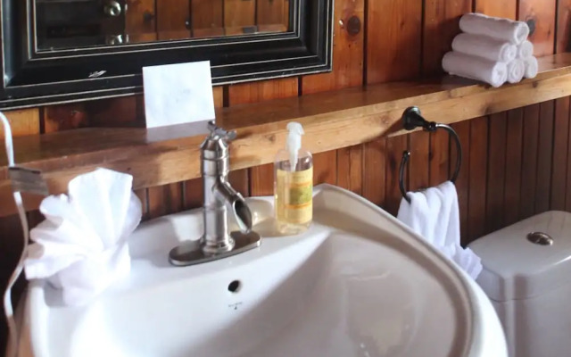 Rainforest Inn