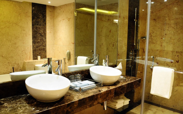 Radisson Blu Plaza Delhi Airport