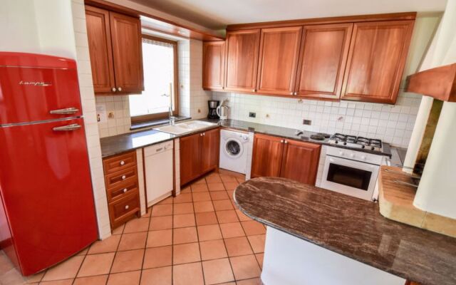 Cesa Galaldriel 29973