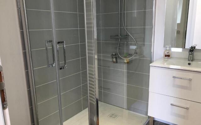 Sancerre Sunflower - Tournesol de Sancerre