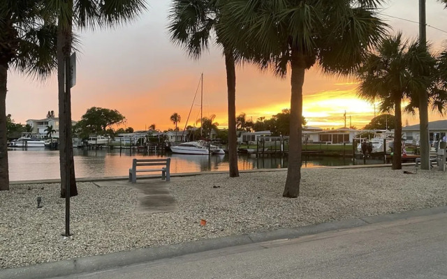 The Mermaid and the Sea Turtle