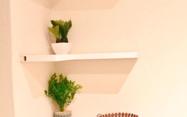 Specious Old Zamtel flats