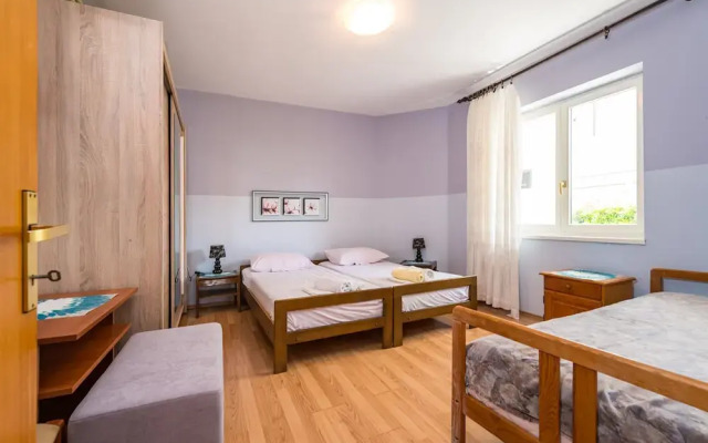 Cozy Apartment Branka With Nice Garden 6