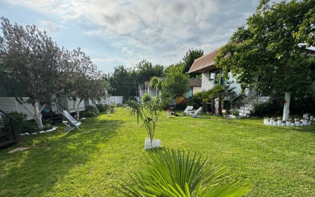 Mozaika (с. Лдзаа)