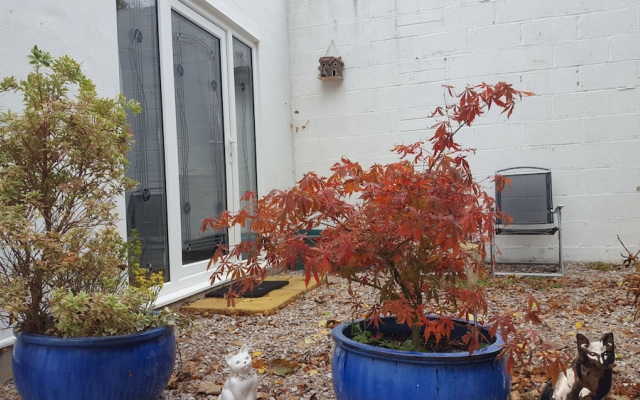 Immaculate 1-Bed Lodge Newton Abbot Torquay