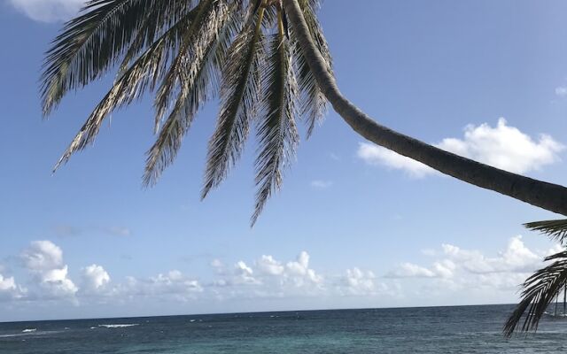 The Palms at Pelican Cove