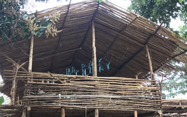 Mountain bikes house and Eco bungalow - Hostel