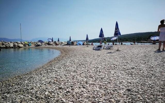 Dragi - 250 m from the beach - A1(6)