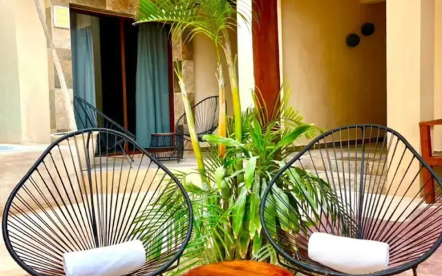 Macondo Raíz Holbox
