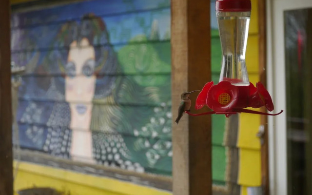 Tofino Travellers Guesthouse