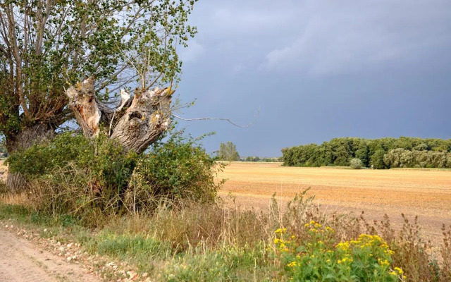 Apartment Battin 44 Uckermark