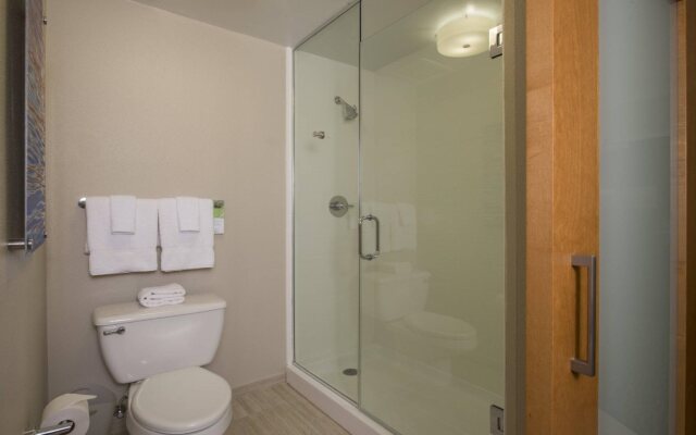 SpringHill Suites San Antonio Downtown/Riverwalk Area