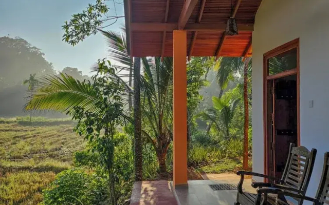Forest & Fields Sinharaja