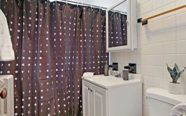 1BR Vibrant Apt in Old Irving Park