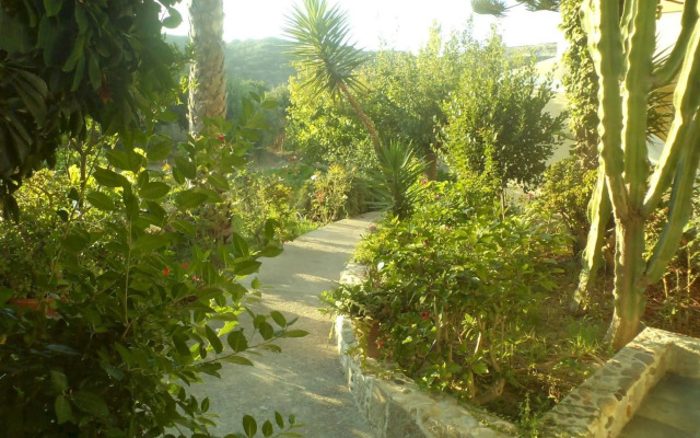 Afentoulis Studios 2
