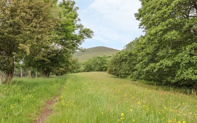 Dingle Den