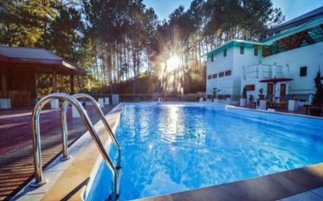 Pine Hill Resort